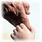 மழலையாய் நீ... - Page 3 Grandparent_holding_hand