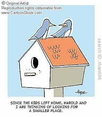 empty nest
