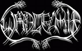  musical group 