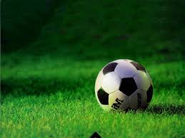 LIGA CAPIATEÑA DE FÚTBOL, CAMPEONATO OFICIAL AÑO 2010