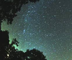 August is the month for meteor