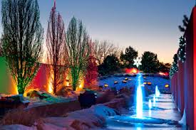 Christmas Lights in Denver