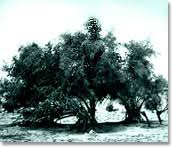 See full size image
