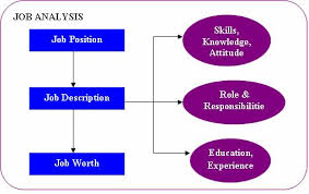 job analysis example