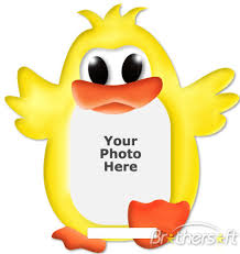 ducky