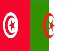 خروج تونس من العرس الإفريقي 624407