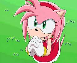 http://t2.gstatic.com/images?q=tbn:0_vyu0qXZVEPhM:http://www.rhodes28.karoo.net/amy_rose_sonic_x.jpg