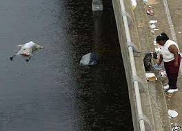 hurricane katrina aftermath