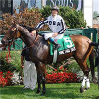 2009 kentucky derby winner image 5