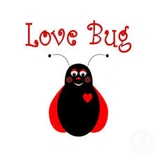 cute bug pictures