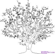 cherry tree drawing