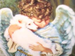 angels babies