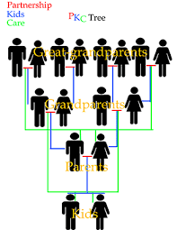 photos family tree