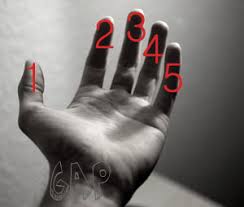 http://t2.gstatic.com/images?q=tbn:2id-svjIvCrhdM:http://www.niksalehi.com/public/khabar/9wt36zac2w02vdt60sky.jpg