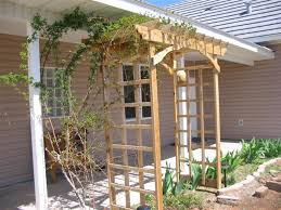 climbing rose trellis