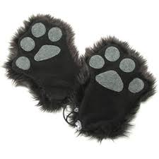 Kitten Mittens for Aspiring