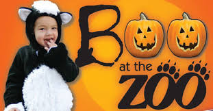 out for the Boo at the Zoo