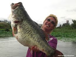 largemouth bass picture