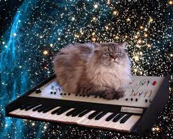 keyboard cat