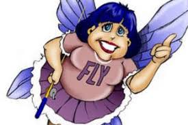 Picture of Flylady
