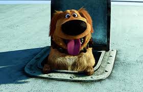 up dog
