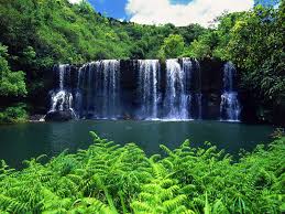 SecludedFalls,Kauai