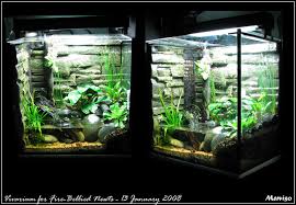 vivarium