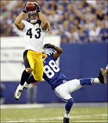 Troy Polamalu: text, images,