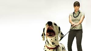 the dog