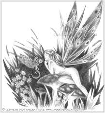 drawings of fairies