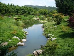 la rivière