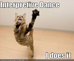 dance cat