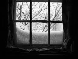 window panes
