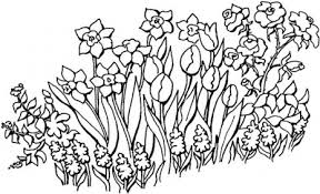 flower garden coloring pictures