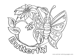 butterfly life cycle coloring sheet