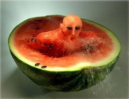 sushi art