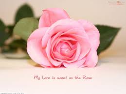 صور رومنسية ، Love-wallpaper_Sweet_as_Rose