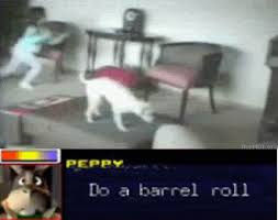 DO A BARREL ROLL