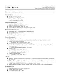 MORE EXECUTIVE RESUME SAMPLES