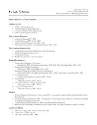 MORE EXECUTIVE RESUME SAMPLES