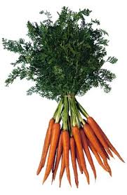 1.5 pounds of fresh Carrots