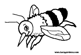 bumble bee coloring pictures
