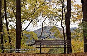 park bench