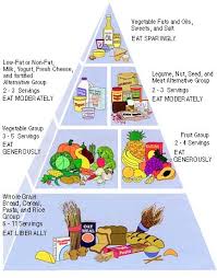 Vegetarian and Vegan Recipes