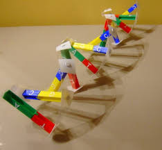 how to make a dna model