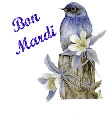 Bibliothèque dans Photographies bon-mardi-oiseau-bleu