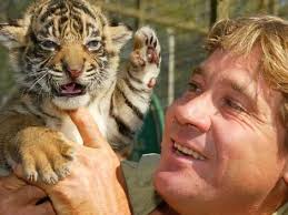 steve irwin death