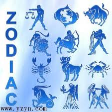  12 Constellation & 12Animal SignCatalog