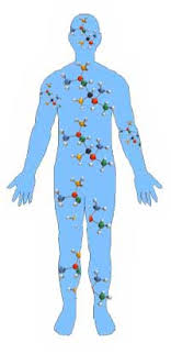 Nutrients in body