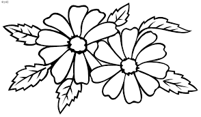 wedding flower clipart